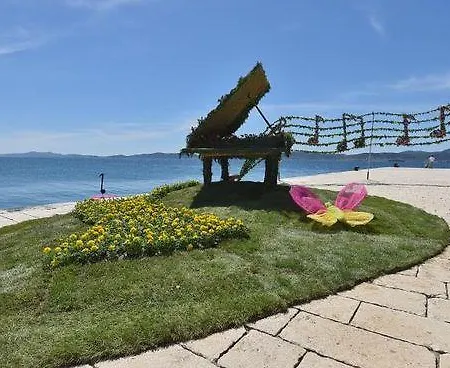 Appartamento Luxury Studio